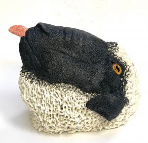 APE